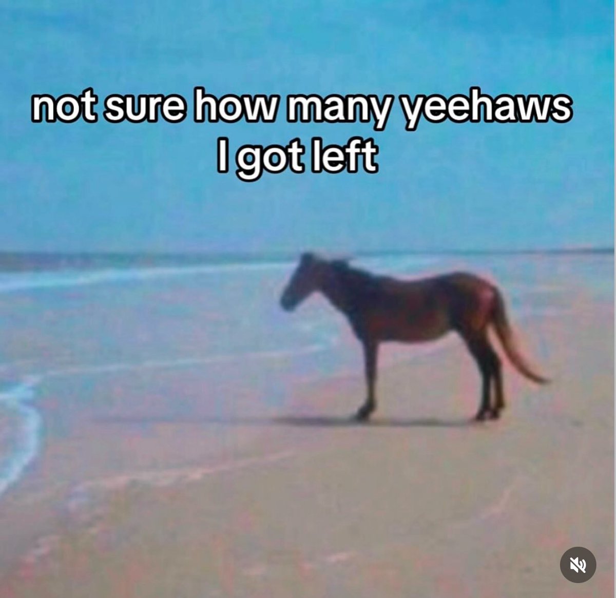 31 today 😮‍💨