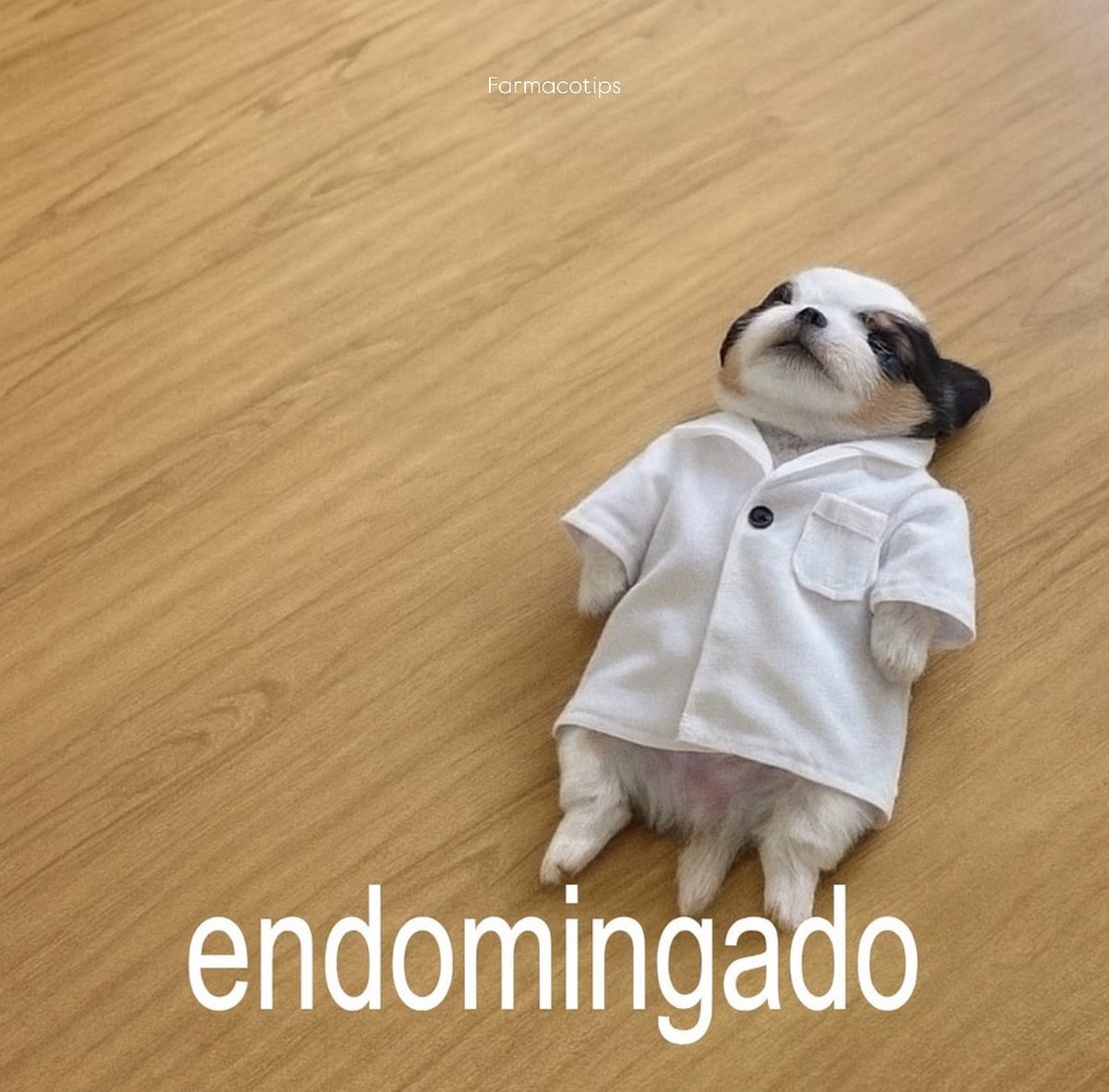 Dr. Javier Flores (@farmacotips) on Twitter photo 