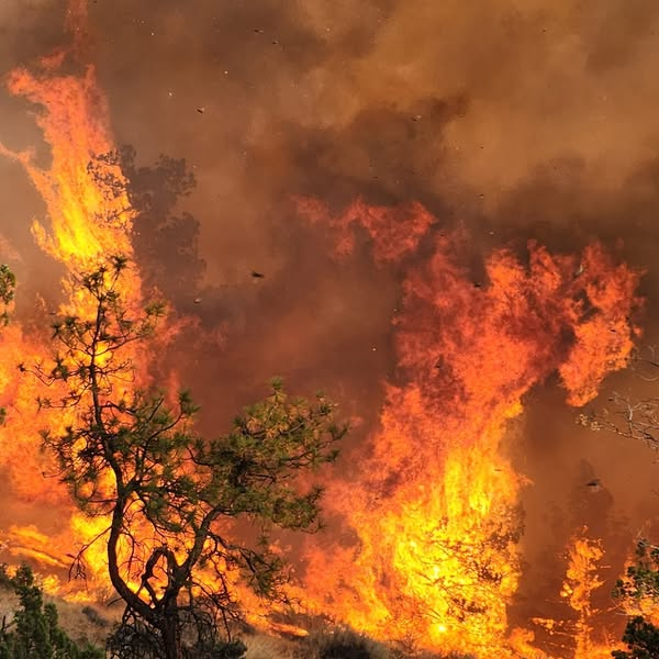 FireCapt404 tweet media