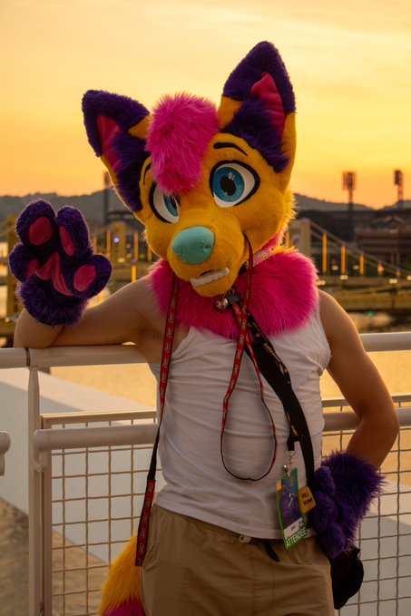 IlliniFurs tweet media