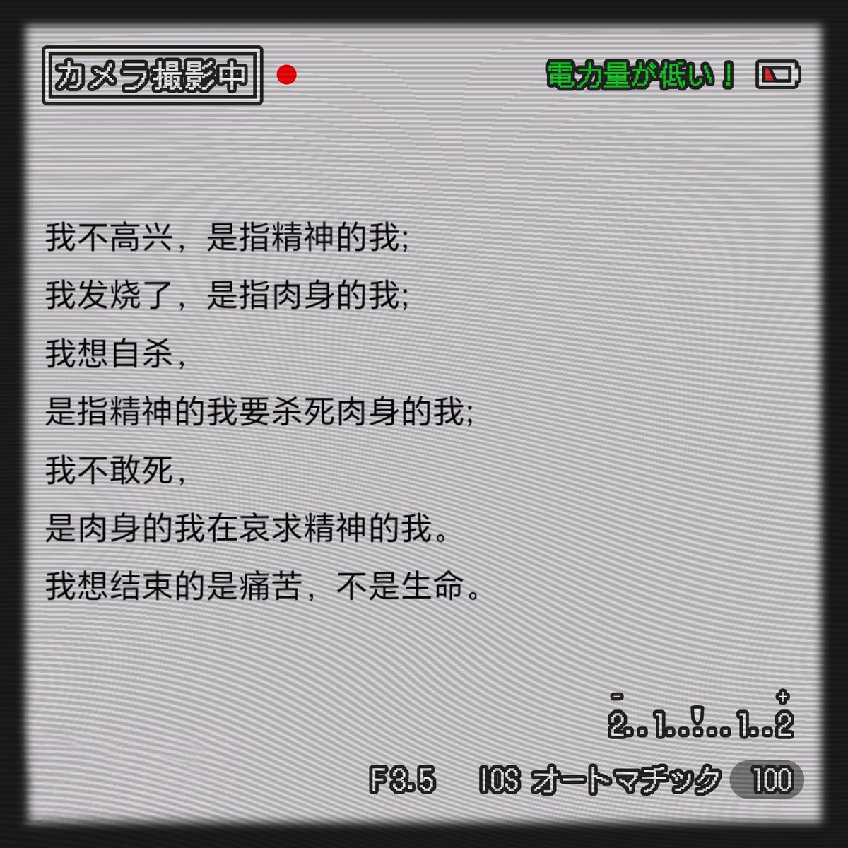 请给我一只猫🍍 tweet media