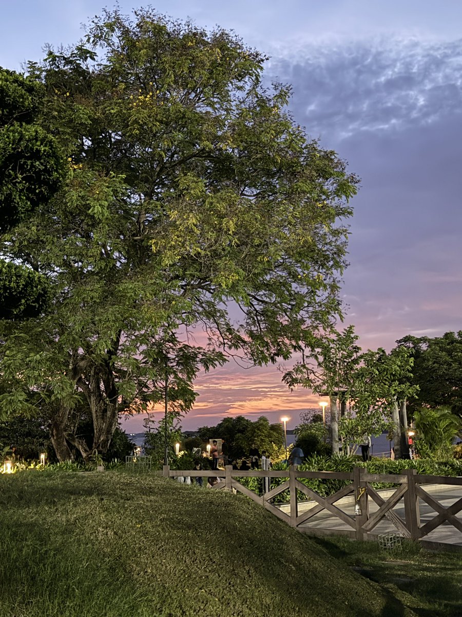 sreejaaaap_09's tweet image. The beauty of Sagars in Hyderabad!