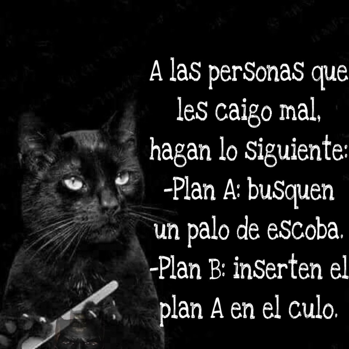 Batman_supadre's tweet image. #BuenosDías excelente #DomingoFamiliar #FelizDomingo saludos desde #Cuernavaca 😘😘😘
P.D.: #EsUnHonorSerObradoristaHoy #EsUnHonorEstarConClaudiaHoy #ClaudiaLíderMundial #ClaudiaNoEstaSola #YoConMiPresidenta CHINGUE a su MADRE #TRAIDORA_A_LA_PATRIA #LocaDelSenado @LillyTellez