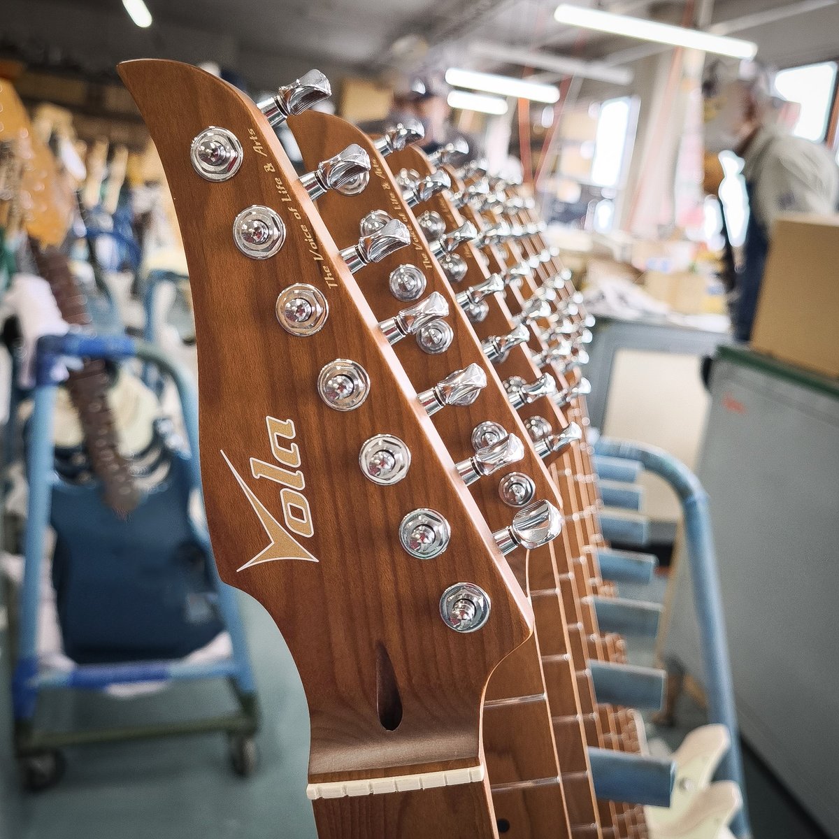 GUCCI　Vola Guiter OZ TNC 美品 GUCCI Vola Guiter OZ TNC 美品 商品 – Page 3 – Shop Vola Guitar