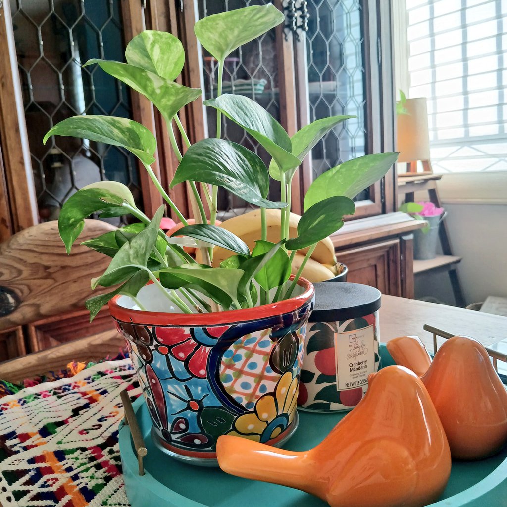 A mi no me hablen de minimalismo.