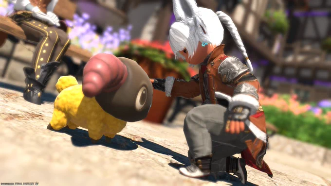 いつメン地図PTでようやっとちっちゃいヤーンお出迎え!かわいい!! #FF14
