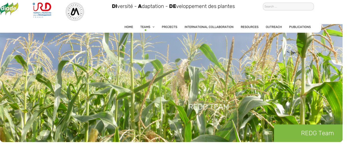 GDR_ImaBio's tweet image. Postdoctoral Position in #Quantitative_Analysis of #Plant_Development

 @LabDiade  
#REDG_Team

diade.ird.fr/teams/redg-tea…

@ird_fr  
@AgenceRecherche 
@INRAE_France 
@AgroParisTech 
@ijpb_fr