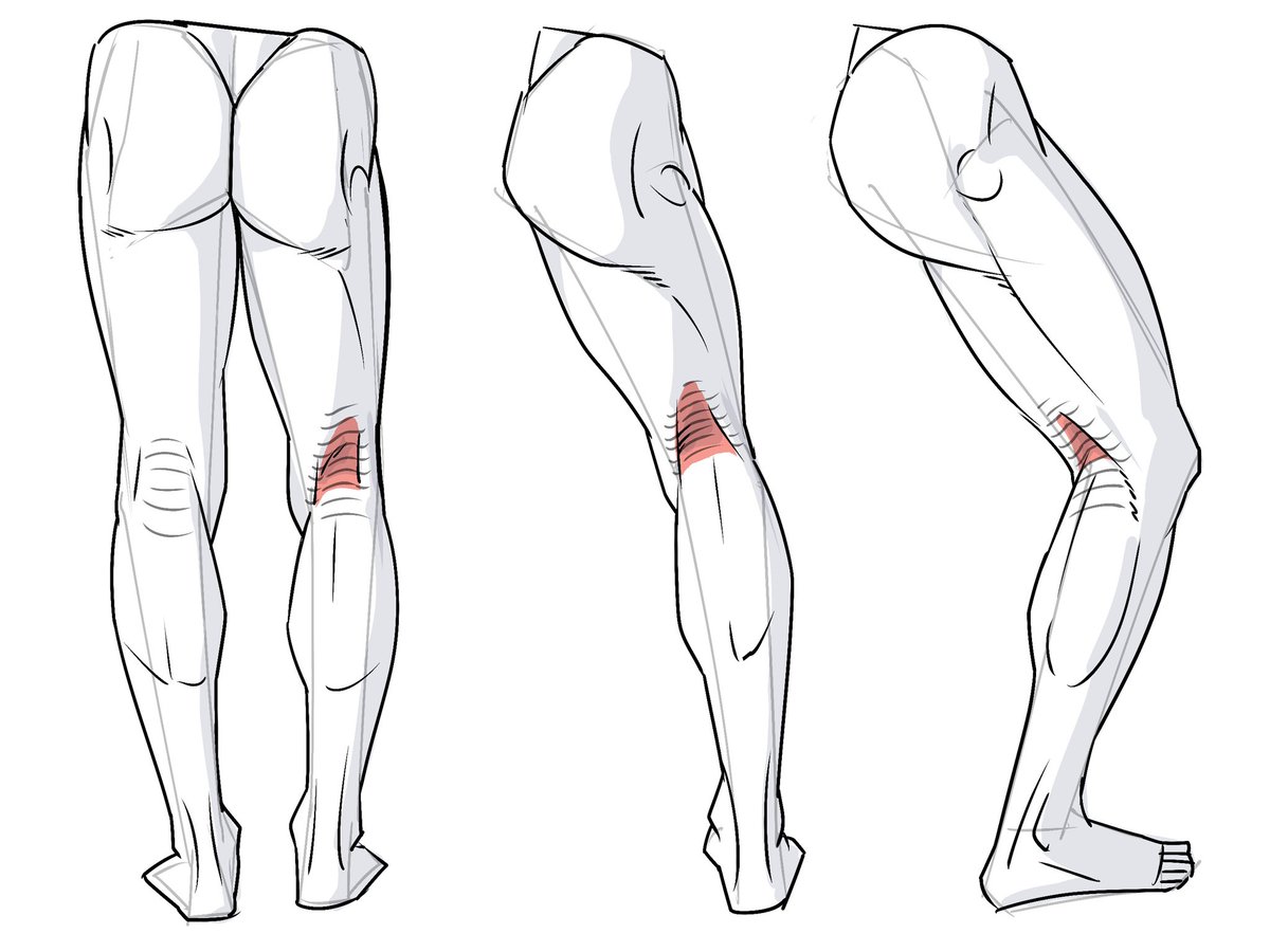 脚がまっすぐだと膨らんでいるけれど、膝を曲げるとくぼむ膝窩