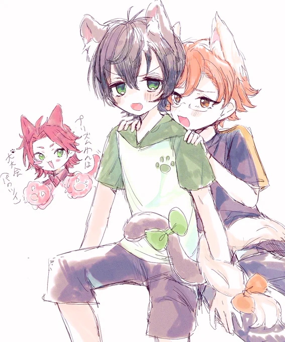 タイカケ =^ω^=