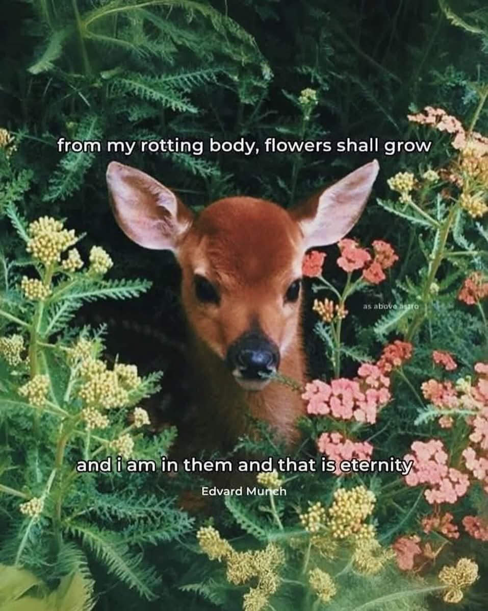 𝕹𝖔𝖙𝖍𝖎𝖓𝖌𝖓𝖊𝖘𝖘 (@voidedintoabyss) on Twitter photo 