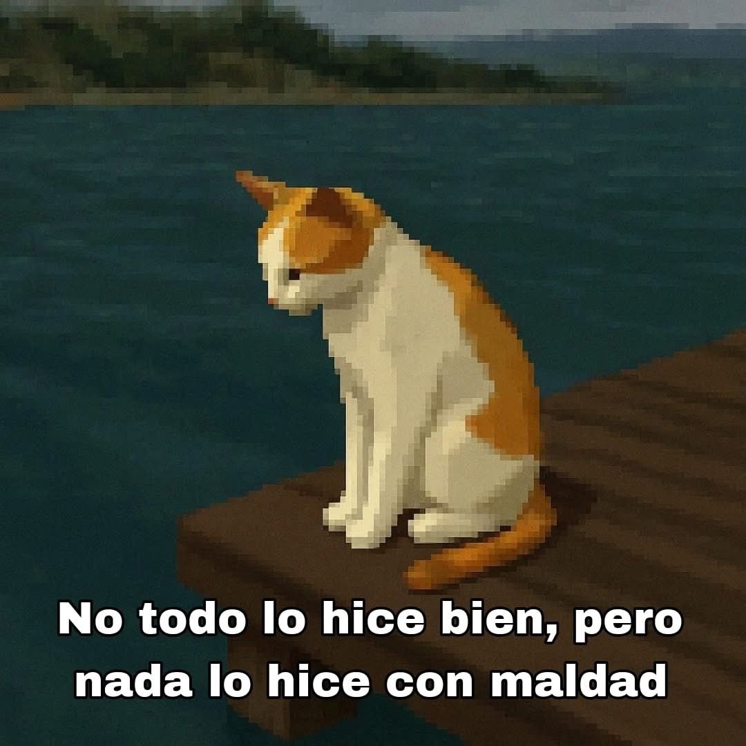 Dilo con gatitoz (@dilocongatitoz) on Twitter photo 