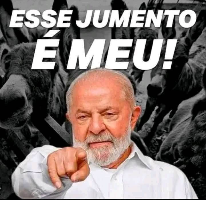 CanedoRc's tweet photo. @edinhos4p @leolinshumor https://t.co/UGjrmwWLYC