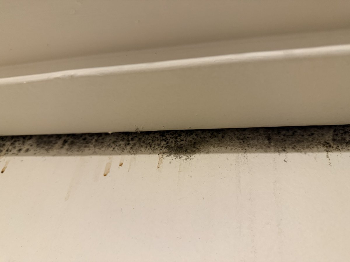 YZY_B's tweet photo. @bookingcom can you help having a support on this aweful apartment we’ve booked on booking ? https://t.co/XjlOVg7j5m