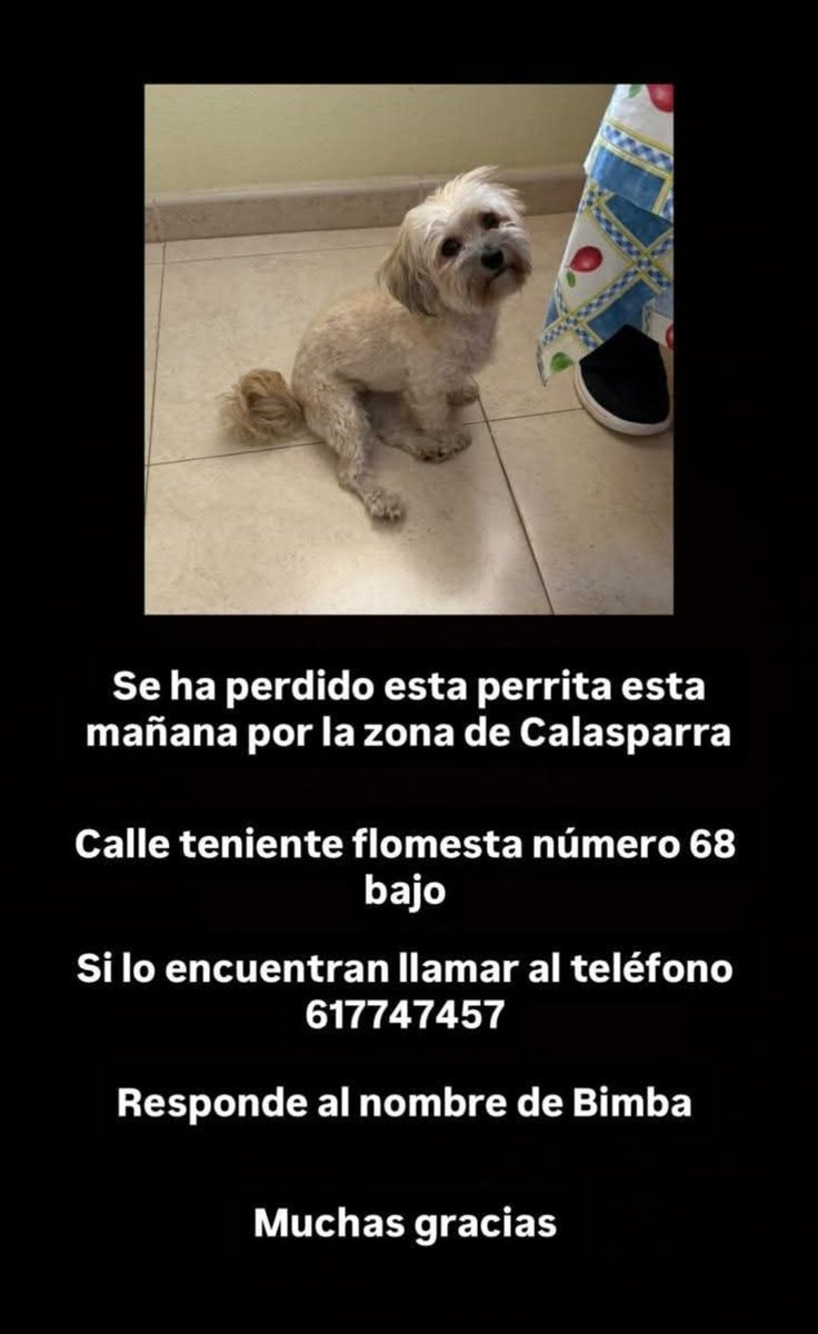 DOGS RESCUE (@dogsrescuec) on Twitter photo 