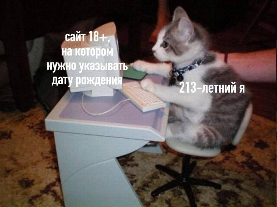 Лень придумывать нормальное имя (@boringsquid) on Twitter photo 