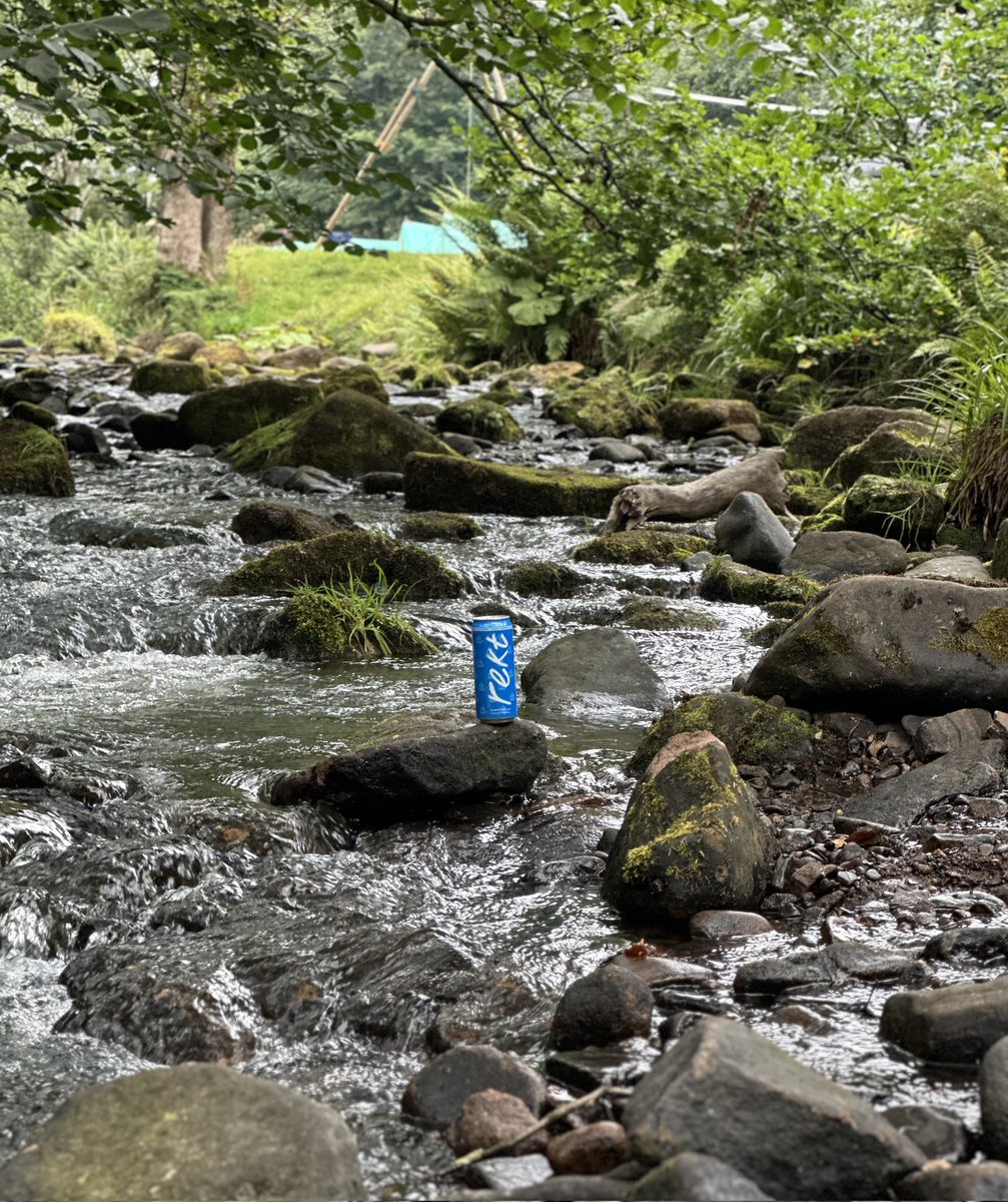 gm 🔆

A $rekt drink spotted in the wild 🌊

<a href="/rektdrinks/">Rekt Drinks</a>