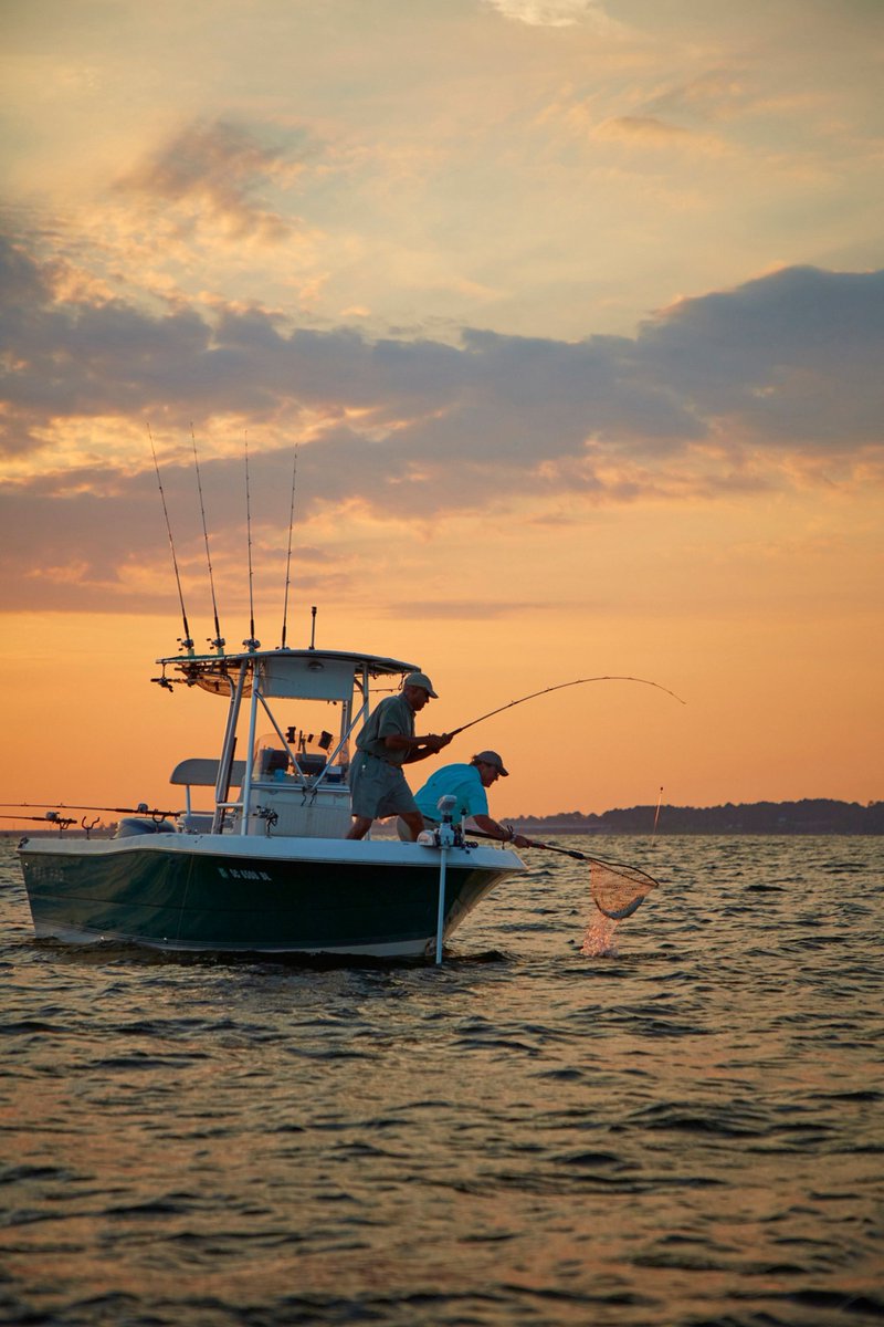 Capital City/Lake Murray Country (@lakemurrayctry) on Twitter photo National Fishing Month is almost over! Whether you're casting off at sunrise or reeling in memories with friends, today’s the perfect excuse to drop a line and enjoy the great outdoors.
📸 <a href="/Discover_SC/">South Carolina</a>
#TopSouthernDestination #LakeMurrayCountry #JewelOfSC #DiscoverSC National Fishing Month is almost over! Whether you're casting off at sunrise or reeling in memories with friends, today’s the perfect excuse to drop a line and enjoy the great outdoors.
📸 <a href="/Discover_SC/">South Carolina</a>
#TopSouthernDestination #LakeMurrayCountry #JewelOfSC #DiscoverSC