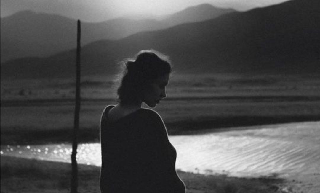 Ne sığınabilecek bir geçmişim ne yürüyebileceğim bir gelecek var. Ben burada, sığındığım yerde mahsur kaldım.

Seray Şahiner