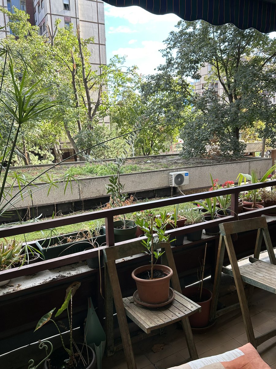 Было выпито поллитра имбирного чая и почучухана одна мачка 
<a href="/DanNoise/">укуси србиjе 🏳️‍🌈</a> ✨