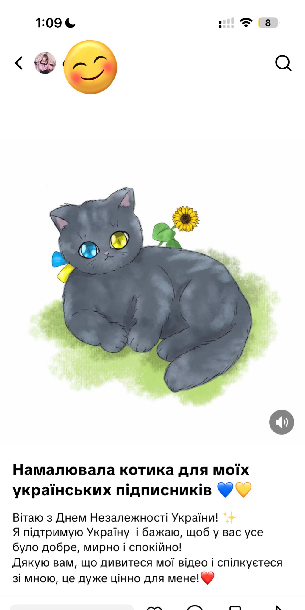 【misafafa様用】を渡り、米国で百年以上眠り続けた猫！ 10月29日は、全米猫の日なんですよ | 猫13匹+犬1匹と寝て暮らす