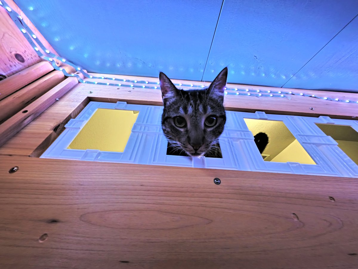 Doc_The_Marine's tweet photo. We have been trying to reach you about your cars extended warranty! Also, the food bowl is empty. https://t.co/pPX3XRo3oo