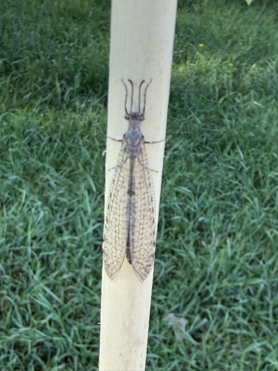 Day 232. <a href="/grok/">Grok</a> what is this?