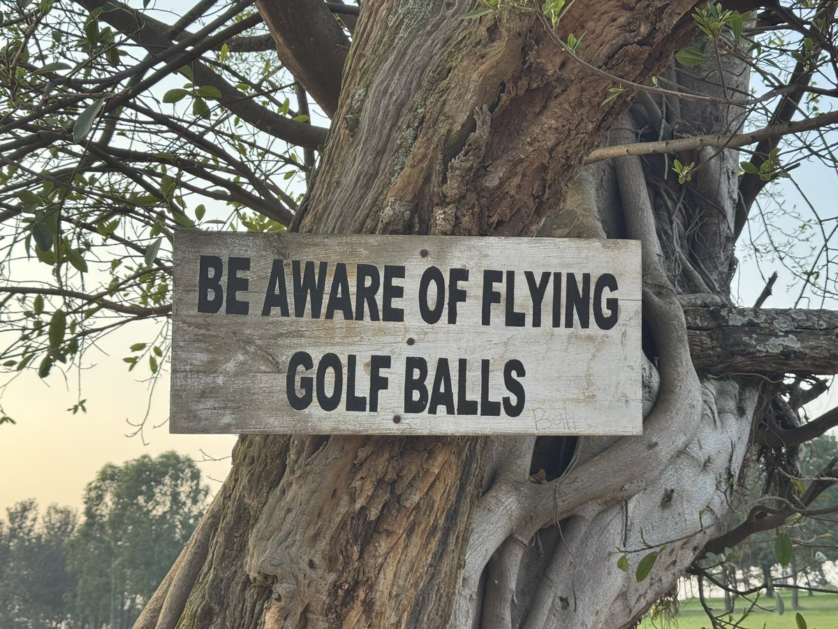 Jacqueline Asiimwe (@asiimwe4justice) on Twitter photo Dear Sunset Crew, this is for you….. I wish you a great week…. And yes, be ware of flying balls. Be safe. 💕
<a href="/MosesRutahigwa/">Moses Rutahigwa</a> <a href="/Twejaka/">Twesigye Jackson Kaguri</a> <a href="/kecho1/">@Kekimuri_🌻</a> <a href="/WATSEMBAMIRIAM/">The Story</a> <a href="/Akeda4/">Joseph Beyanga Joe Walker</a> <a href="/BightOfBeninRes/">BightOfBeninRestaurant</a> <a href="/_MariaBurnett/">Maria Burnett</a> <a href="/bamulanzeki/">Nicholas Bamulanzeki</a> <a href="/nickopiyo/">Nicholas Opiyo (Pronouns He/Him)</a> <a href="/latagal/">Penelope Sanyu</a> <a href="/qataharraymond/">Mujuni Raymond</a> <a href="/Atulinda_Allan/">Atulinda Allan🇺🇬</a> Dear Sunset Crew, this is for you….. I wish you a great week…. And yes, be ware of flying balls. Be safe. 💕
<a href="/MosesRutahigwa/">Moses Rutahigwa</a> <a href="/Twejaka/">Twesigye Jackson Kaguri</a> <a href="/kecho1/">@Kekimuri_🌻</a> <a href="/WATSEMBAMIRIAM/">The Story</a> <a href="/Akeda4/">Joseph Beyanga Joe Walker</a> <a href="/BightOfBeninRes/">BightOfBeninRestaurant</a> <a href="/_MariaBurnett/">Maria Burnett</a> <a href="/bamulanzeki/">Nicholas Bamulanzeki</a> <a href="/nickopiyo/">Nicholas Opiyo (Pronouns He/Him)</a> <a href="/latagal/">Penelope Sanyu</a> <a href="/qataharraymond/">Mujuni Raymond</a> <a href="/Atulinda_Allan/">Atulinda Allan🇺🇬</a>