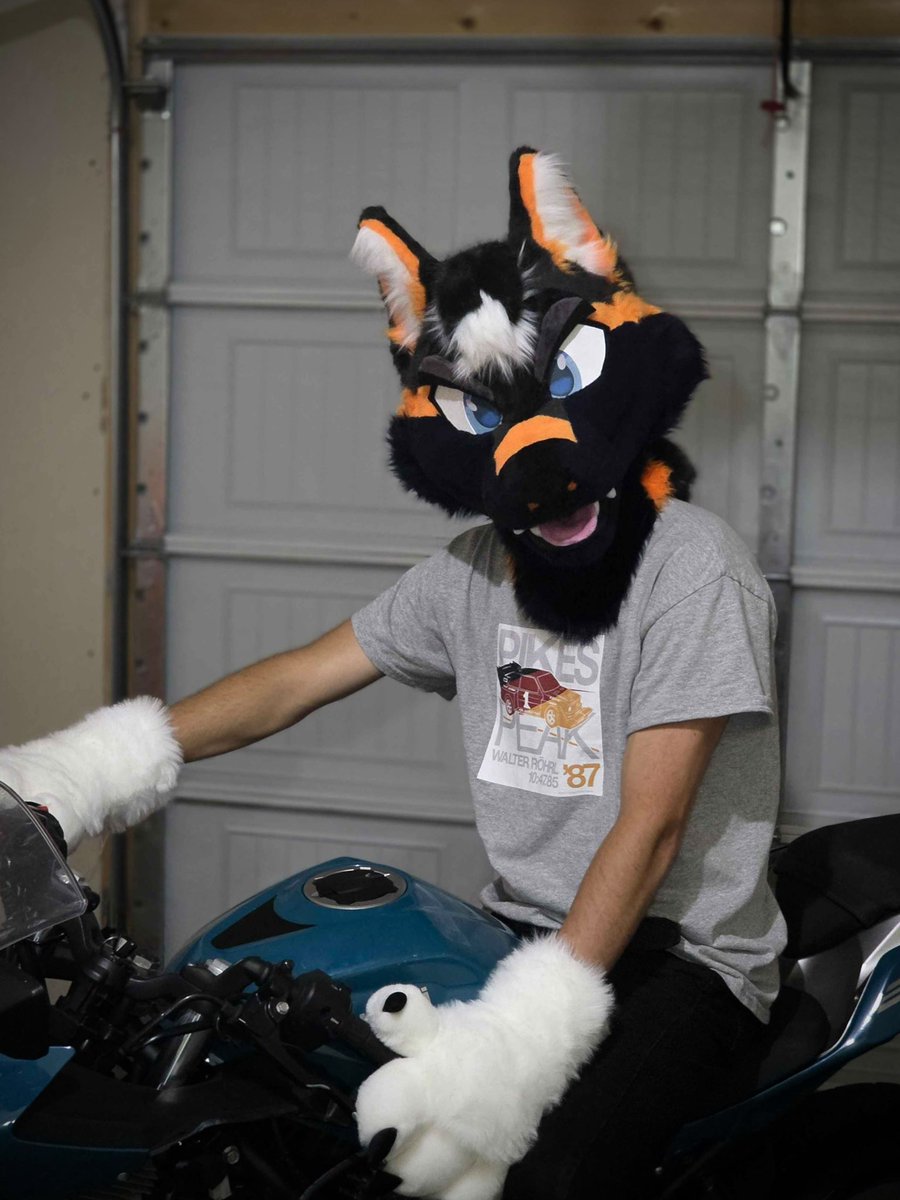 Late fursuit Friday but Awrff :3