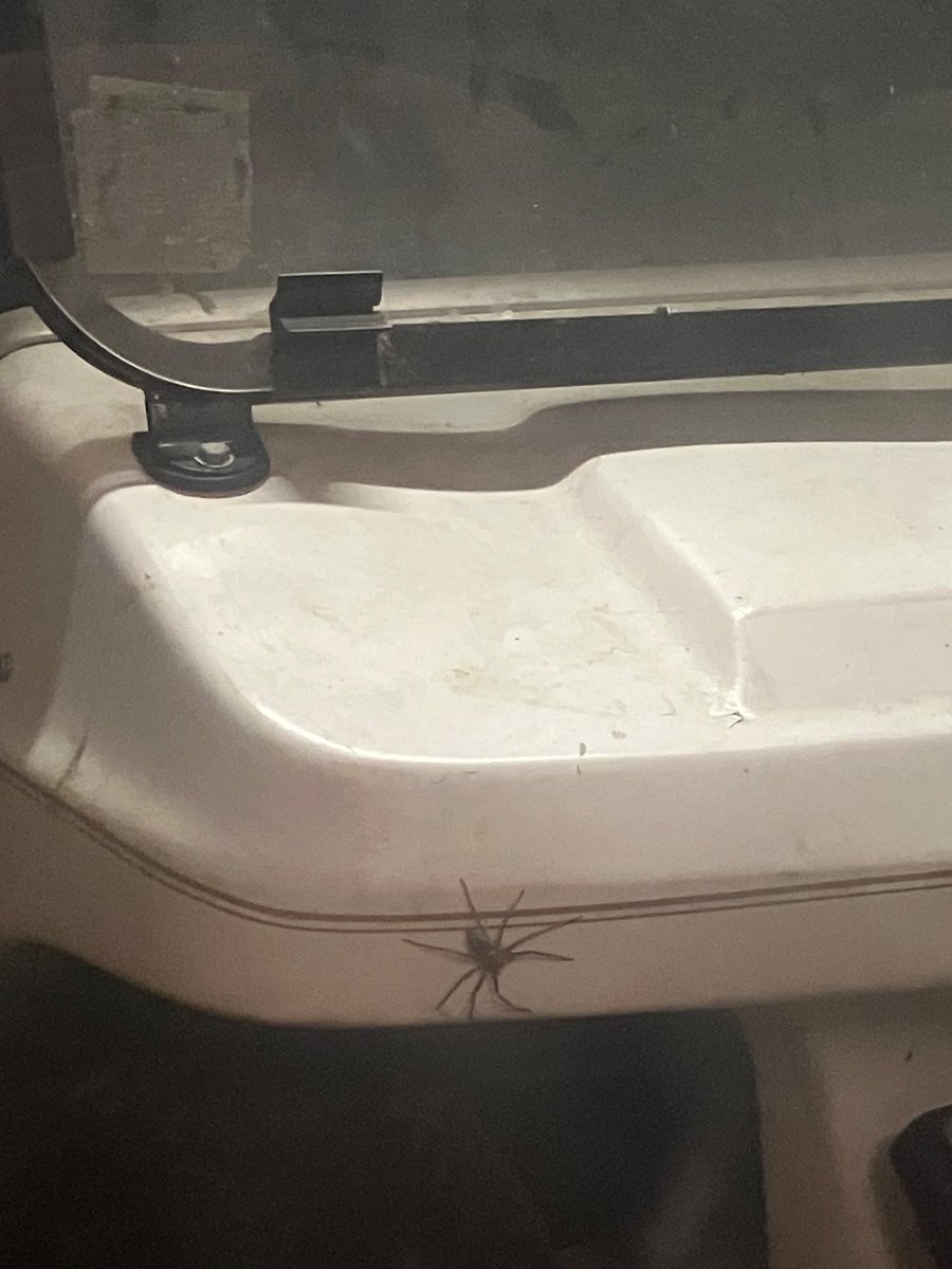 Someone wants to take my gc for a spin.😆