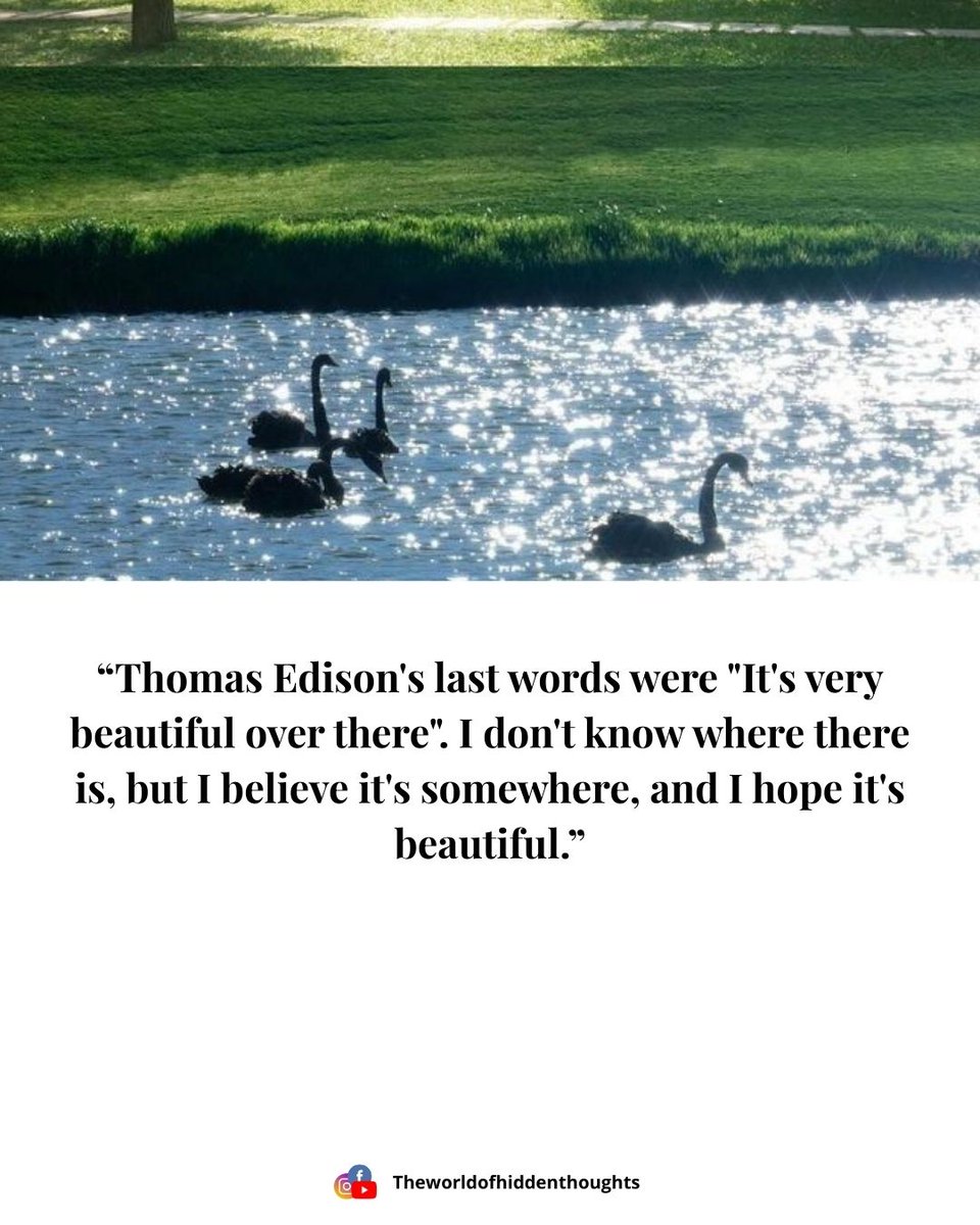 TWOHT_FAMILY's tweet photo. Celebrating the storyteller who turned words into galaxies of emotions. Happy Birthday John Green!

#AuthorBirthday #BookMagic #Storyteller #JohnGreen #LookingForAlaska #TheFaultInOurStars #PaperTowns

[John Green birthday, John Green young adult fiction, John Green quotes] https://t.co/gbW84ZXefx