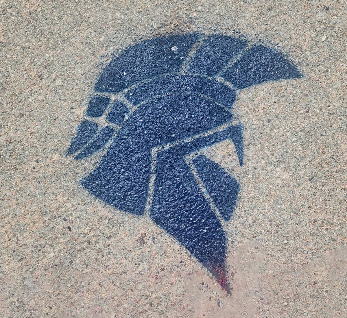 Come see us at the Springfield Farmers Market today and sign up to get a Trojan driveway stamp! Minimum donation of $25. All proceeds support Platteview post-prom. docs.google.com/forms/d/e/1FAI…