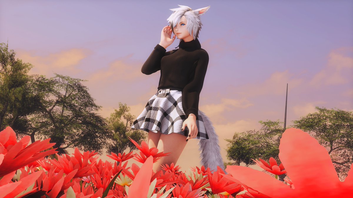 Sensus | VTuber (Re-debut Soonโข) (@sensusyt) on Twitter photo ๐ธ ๐ชท ๐
#FFXIV #FFXIVScreenshots #FFXIVSnaps #FF14 #FF14SS #FFXIVGPose #EorzeaPhotos #GPosers #GPose #Miqote ๐ธ ๐ชท ๐
#FFXIV #FFXIVScreenshots #FFXIVSnaps #FF14 #FF14SS #FFXIVGPose #EorzeaPhotos #GPosers #GPose #Miqote
