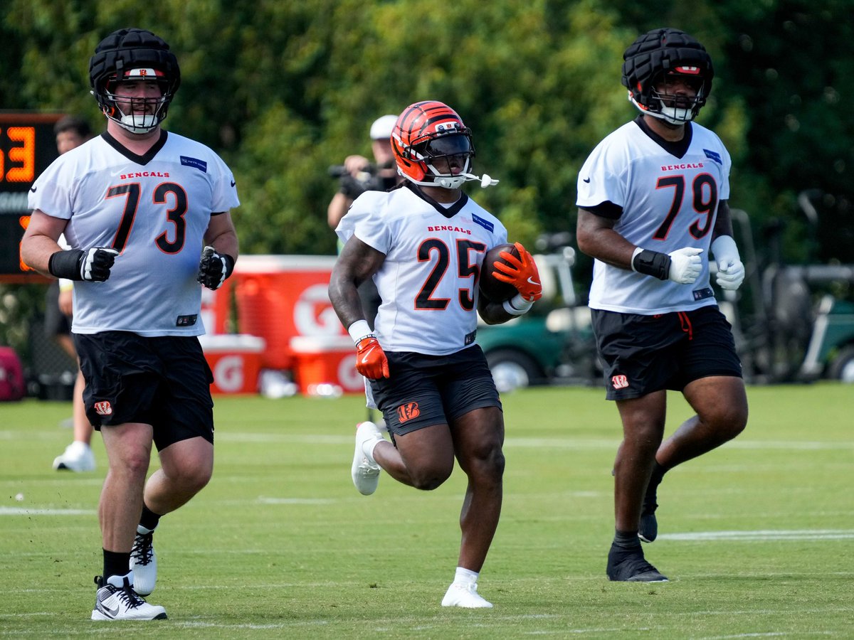 JonHamcheck's tweet photo. Don't let Chase Brown's RB1 ADP fool you: Tahj Brooks is my sleeper RB for 2025. The Texas Tech product is turning heads in Bengals camp and has the higher ceiling over Chase Brown in what will be an elite offense. Get him a round early! #FantasyFootball #NFLDraft #RuleTheDraft https://t.co/HPxl7nKQol