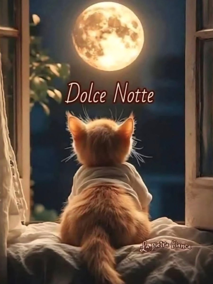 RITABIANCHi56 tweet media