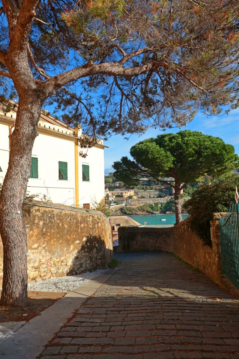 #PrimaOPoi

E ancora vado alla deriva e ancora canto
dovunque io sarò, dovunque lei sarà
sarà al mio fianco.
Per ogni strada che prenderà
e perderà ogni volta
per ogni volta che tornerà
starò alla porta...

#DeGregori
#SalaLettura