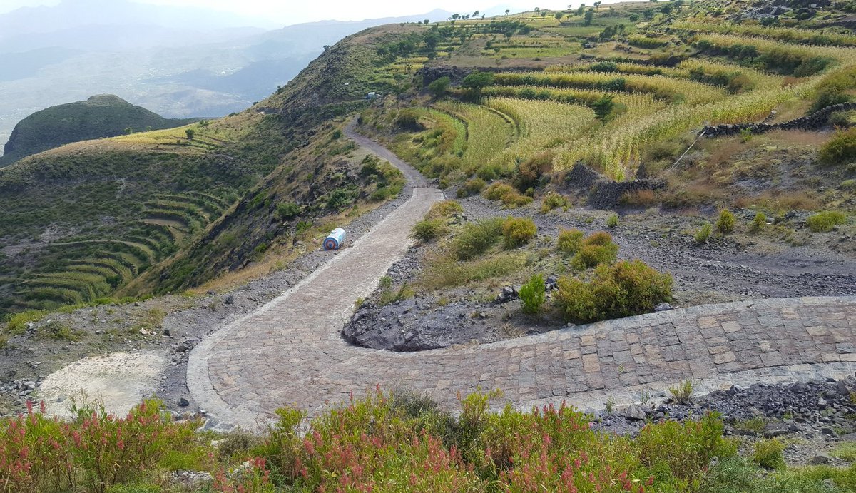 SFDYemen's tweet photo. For 5.6 million Yemeni beneficiaries, the SFD delivered rural roads, schools, health centers, water, sanitation &amp; farming outputs are not regarded as statistics—they are LIFELINES in times of no alternatives

Undermining such an achievement would endanger thousands of villages‼️ https://t.co/1v1YXPfgEB