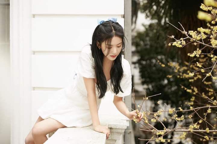 𝑺͟𝒆͟𝒂𝒓𝒊𝒔𝒆. tweet media