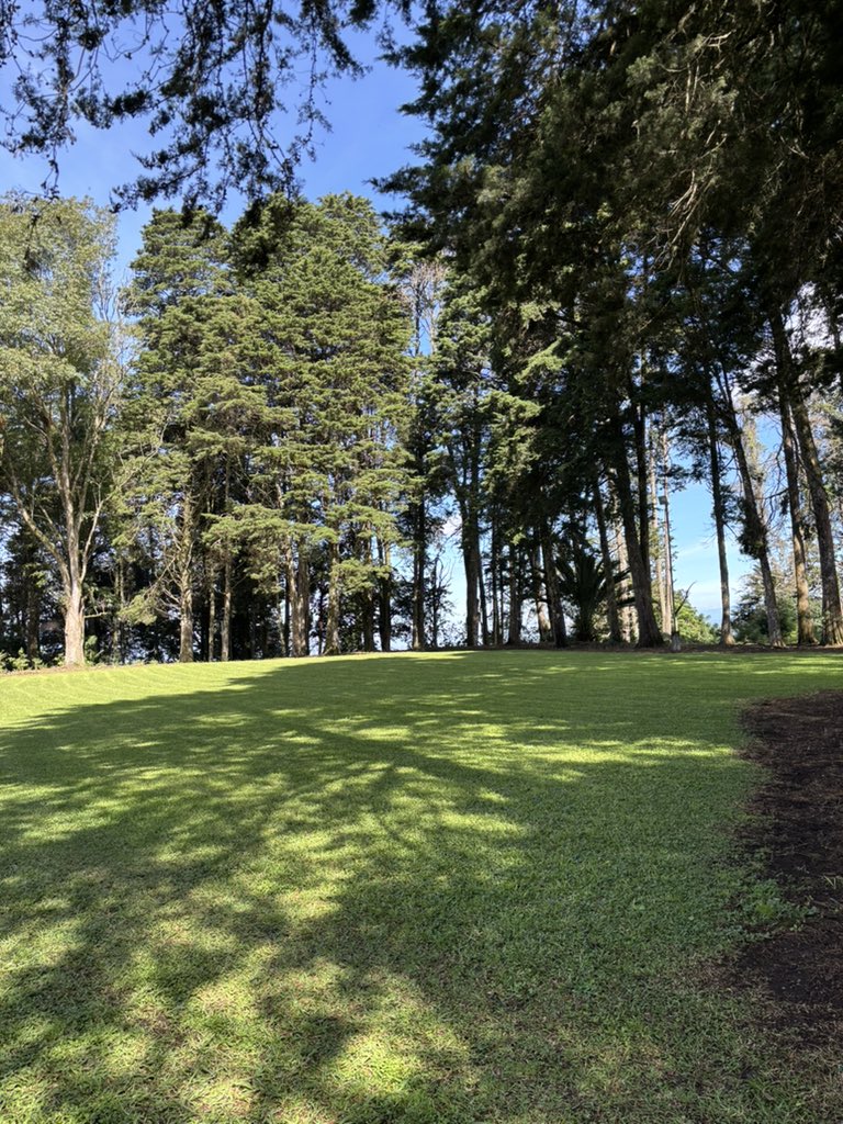 Jesús nos dice:  ¡esfuércense! Así te anima a vencer tus fatalismos y derrotismos para salir adelante y llegar a la meta: el cielo. Él te espera este domingo en Misa para ayudarnos a hacerlo.