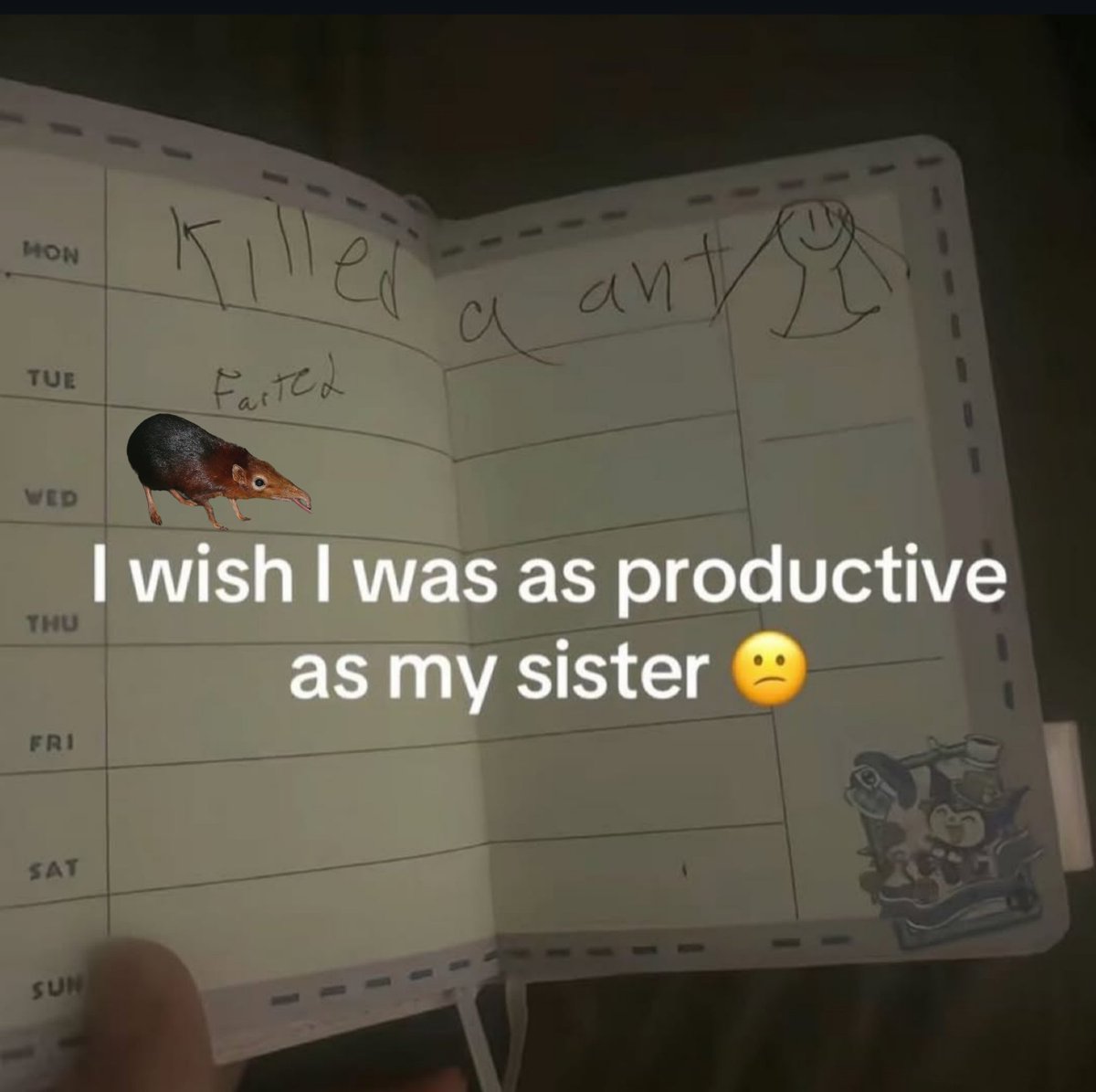 $fartcoin &amp; $shlorp coded.