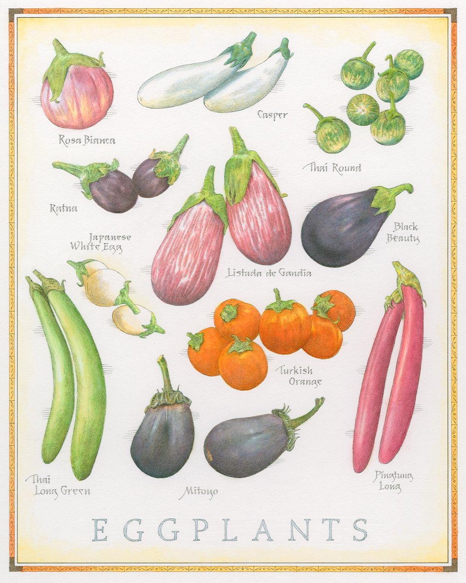 TestKitchen's tweet photo. Our September/October back cover puts eggplants in the spotlight: bold, glossy, and ready for the pan, oven, grill, or wherever your cooking takes them. https://t.co/DeUoVTF1mC