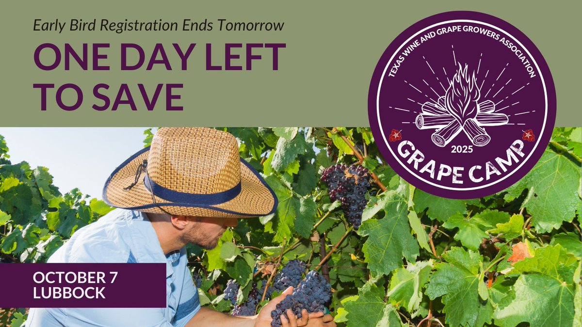 Last call for early bird pricing! This is your final chance to save on Grape Camp—don’t miss expert panels, networking, and the Lone Star Wine Tasting Experience this October 7 in Lubbock. buff.ly/SbKadOn