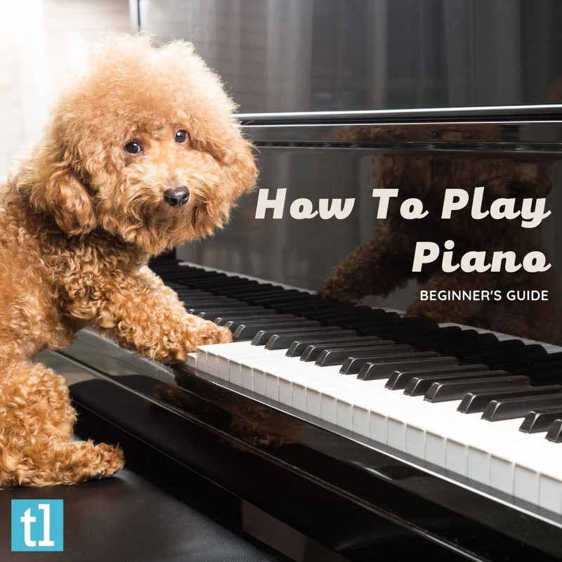 teds_list's tweet image. Ever wondered why there are white and black keys on a piano and what you&apos;re supposed to do with each finger? And what are the pedals for?!!!

Our How To Play Piano guide explains all! #pianostudent #pianotutorial rfr.bz/tf2e2ef