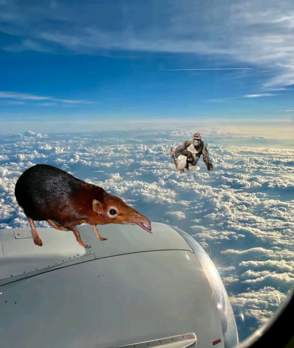 I bet you all know him.
$shlorp