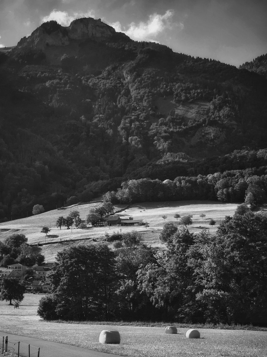 Drabbles153's tweet photo. #NFTkaltenstein #kaltenstein #landscapephotography #today #Switzerland #kanton #Stgallen #Lienz #monochrome #Documentary #photography https://t.co/zEp5LH6nId