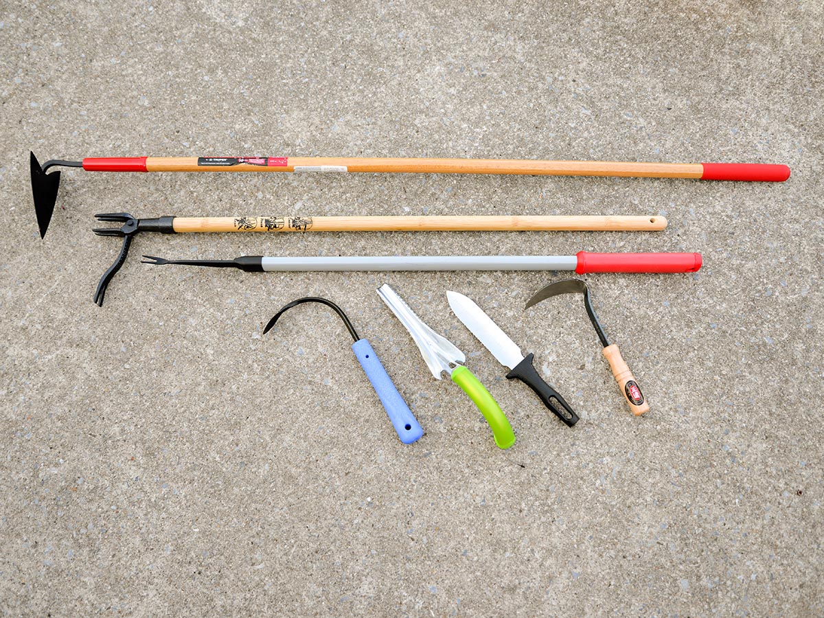 CRayBrower209's tweet image. Weeds can pop up anywhere—in flower beds, lawns, and even container gardens. Equip yourself with the right tools to tackle these invaders effectively! 🌿🛠️

#WeedControl #GardenTools #LandscapingTips #HomeGarden
 LocalInfoForYou.com/313496/best-we…