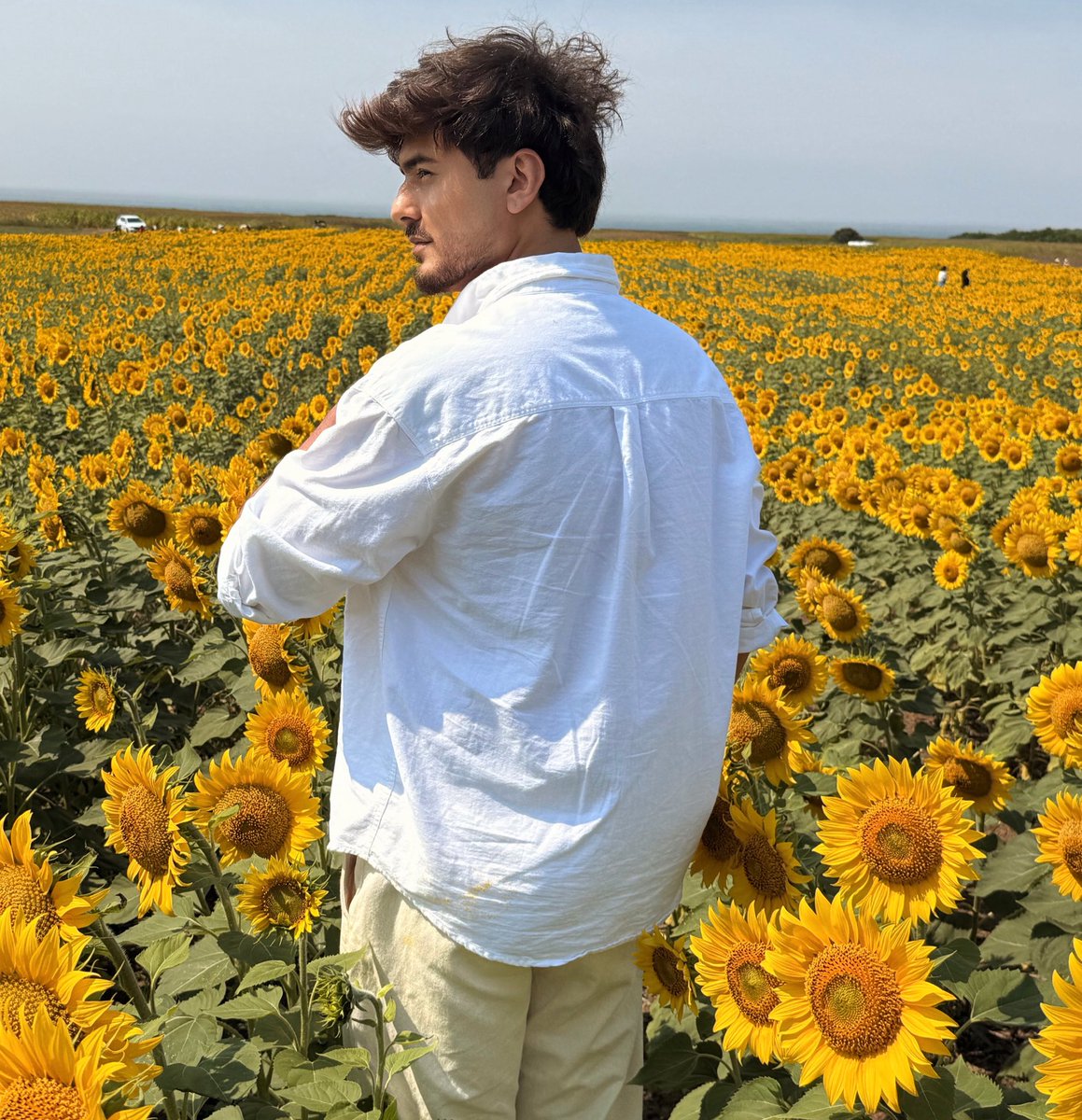itsramonbauer's tweet photo. Um mar amarelo e um pedaço de calma 🌻 https://t.co/KIAbVtgFyv