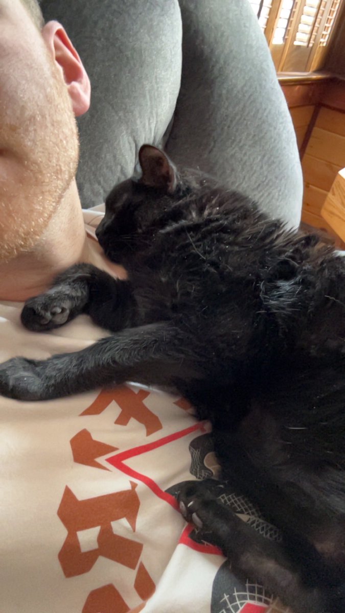 Thank you for all the prayers, unfortunately things didn’t improve and we had to put down our cat. 

RIP Jingles, you will truly be missed 🥺💔