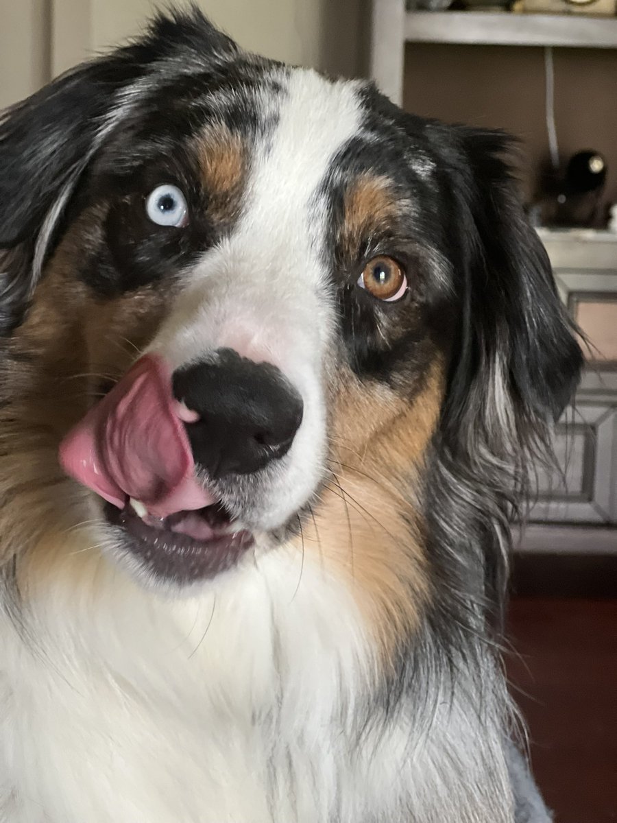 🎶 Pam 🎶 tweet media