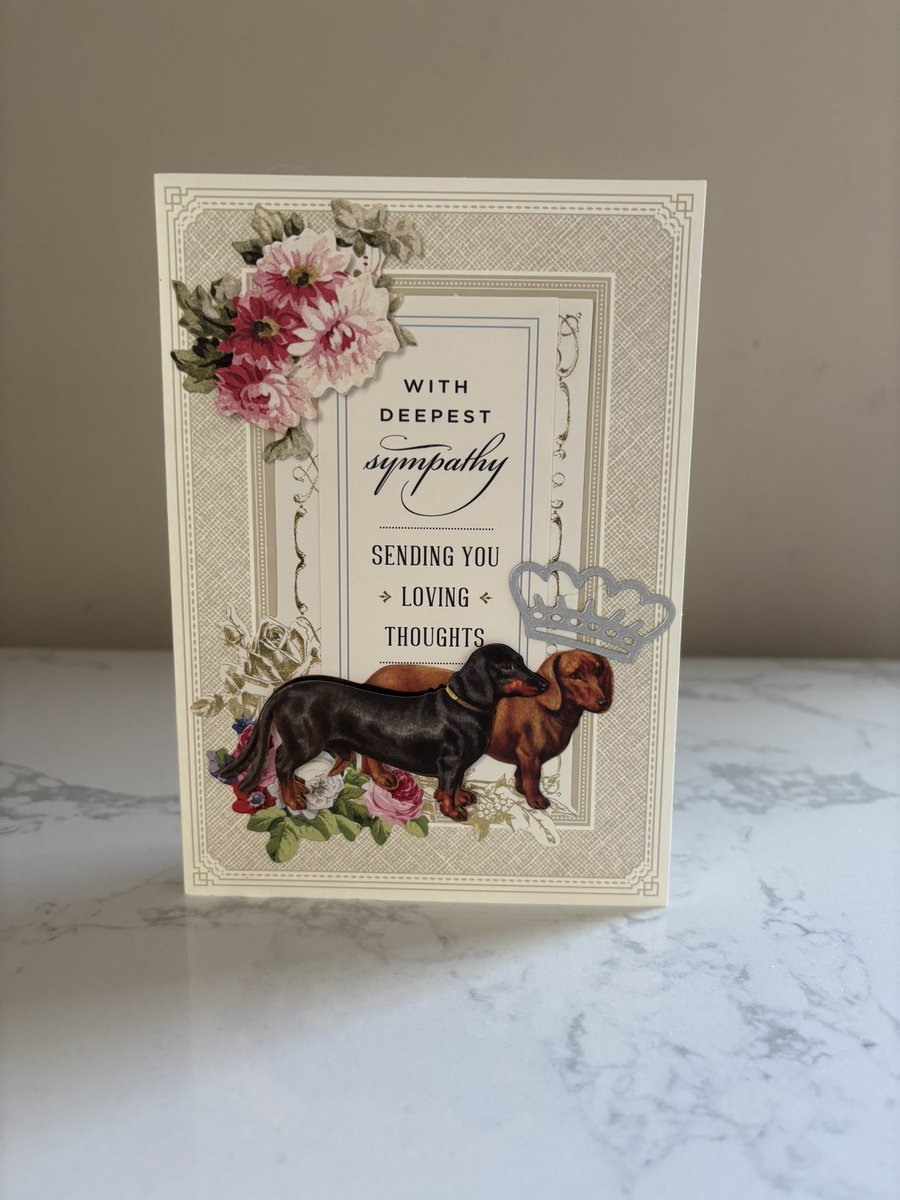 THANK YOU to <a href="/3phibotticelli/">Sassy& Angels Sadie & Phi</a> Sadie and Heidi for the beautiful card! Thank you for the beautiful words about Carly🕊️💔🌈 and loving my girl so much💕
We know each other a long time…your friendship means so much to me!🤗 Thank you!♥️♥️