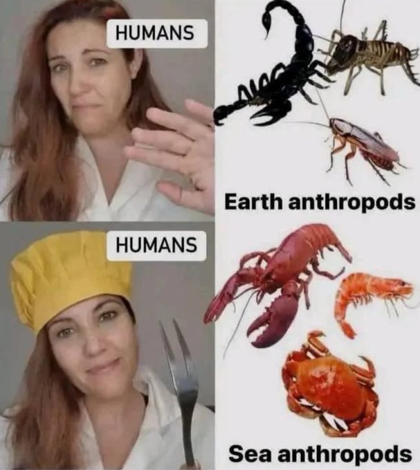 GzIjKbGXIAIxnJN?format=jpg&name=small